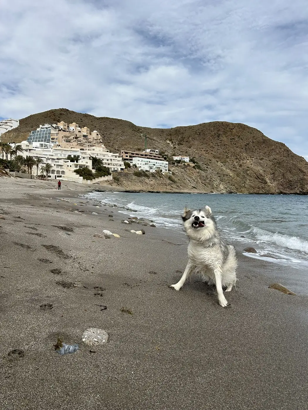 Fuerteventura - foto 17